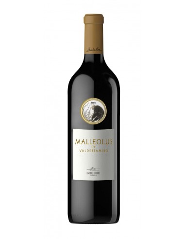 Malleolus de Valderramiro