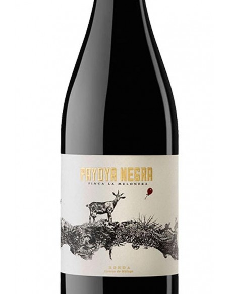 Payoya Negra 2020