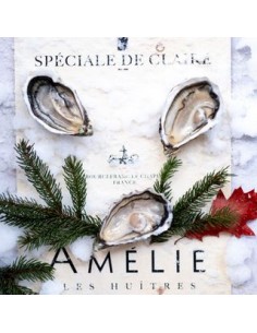 Ostras Amélie