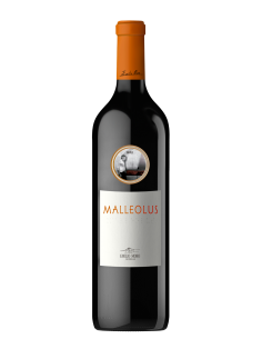 Malleolus 2019