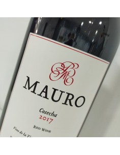 Mauro Magnum 2019 2