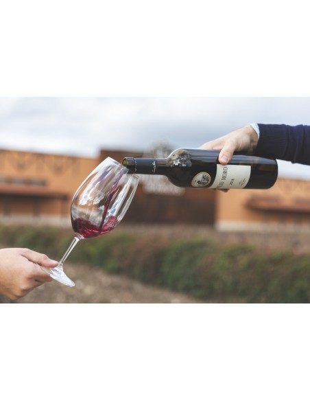 Emilio Moro Magnum